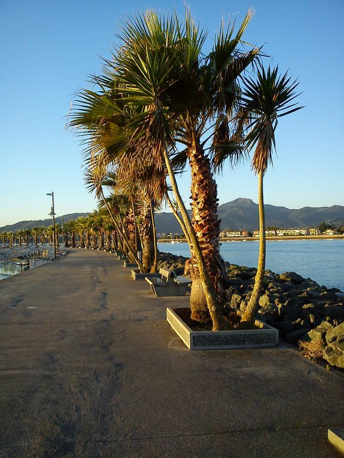 Hotel Valencia Hendaye Exterior photo